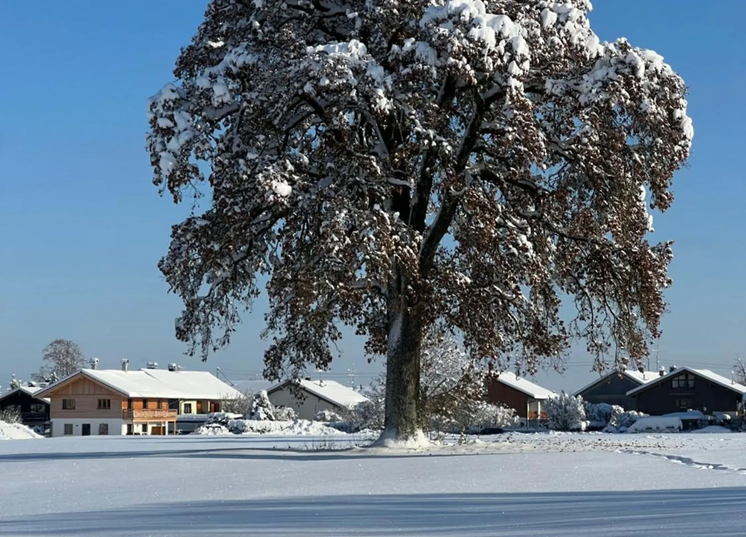 Goldbichl Apartment Sauerlach Germany